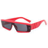Ladies Vintage Small Rectangle Sunglasses