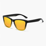 Classic Polarized Sunglasses