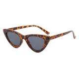 Cat Eye Women Small Triangle Sunglasses