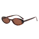 Retro Vintage Plastic Small Oval Sunglasses