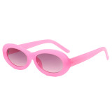 Retro Plastic Small Oval Sunglasses