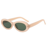 Retro Plastic Small Oval Sunglasses