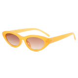 Cat Eye Women Small Triangle Sunglasses