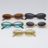 Plastic Small Oval Sunglasses