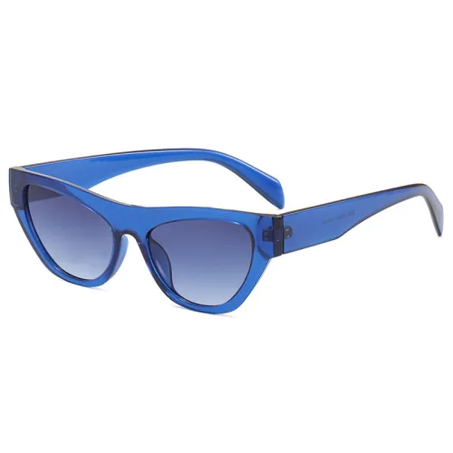 Cat Eye Women Small Triangle Sunglasses