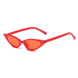 Leopard Cateye Sunglasses Women Small Triangle Rivet Cat Eye Sunglasses