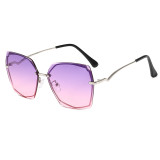Elegant Tinted UV400 Women Sunglasses