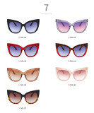 Women Oversized Shades Cat Eye Sunglasses
