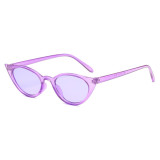 Fashion Designer Women Sun glasses Classic Plastic Lady Small Cat Eye Sunglasses
