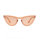 Fashion Tinted Plastic Sun glasses Women Cat Eye Sunglasses