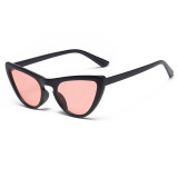Fashion Tinted Plastic Sun glasses Women Cat Eye Sunglasses