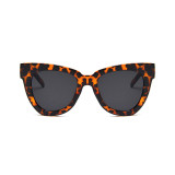 Fashion Women Brand Designer Sun glasses Plastic Gradient Cat Eye Shades Sunglasses