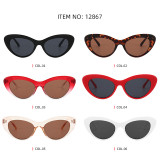 Fashion Retro Plastic Women Cat Eye Sunglasses