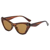 Cat Eye Women Small Triangle Sunglasses