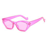 Cat Eye Sunglasses for Ladies