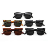 Women Square Trendy Cateye Polarized Sunglasses