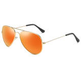 Polarized Pilot Sunglasses