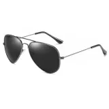 Polarized Pilot Sunglasses