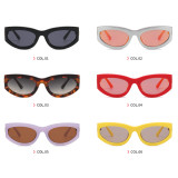Cat Eye Women Small Oval Sunglasses