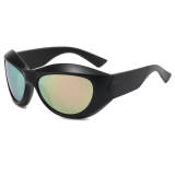 Oval Sport Wrap Y2K Sunglasses