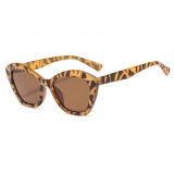 Cat Eye Women Sunglasses
