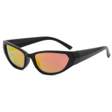 Polarized  Y2K Oval Outdoor Cycling Sporty Sunglasses