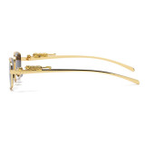 Cheetah Small Rectangle Metal Frame Sunglasses