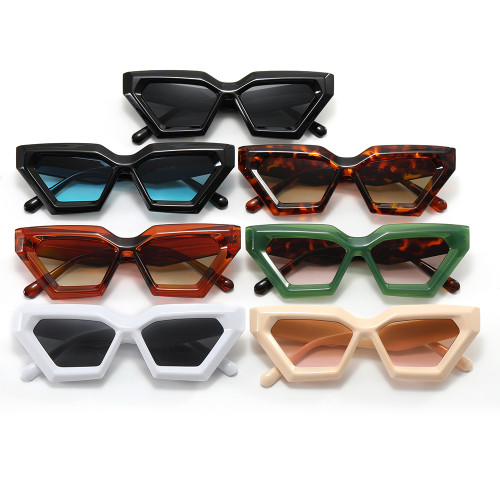 Cat Eye Geometric Concave Sunglasses