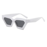 Cat Eye Geometric Concave Sunglasses