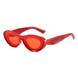 Cat Eye Small Oval Tinted Sunglasses