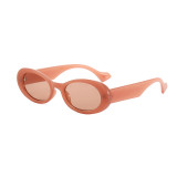 Retro Small Oval Thick Rimmed Sunglasses