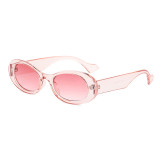 Retro Small Oval Thick Rimmed Sunglasses