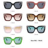 Retro Cat Eye Square Crystal Women Sunglasses