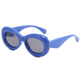 Chunky Colorful Oval Sunglasses