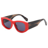 Vintage Rectangle Cat Eye Travel Multicolor Shades Sunglasses