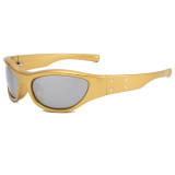 Y2K Vintage Wrap Around Rectangle Cat Eye Outdoor Sunglasses