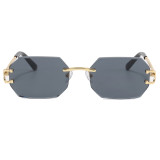Tint Octagon Rimless Sunglasses