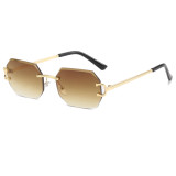 Tint Octagon Rimless Sunglasses