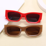 Cat Eye Women Flat Top Polygonal Sunglasses