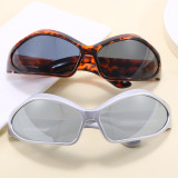 Y2K Retro Cheap Plastic Irregular Cat Eye Sports Shades Sunglasses