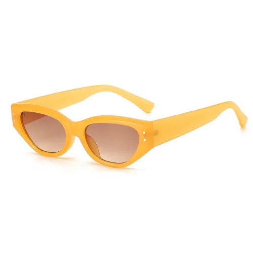 Vintage Rectangle Cat Eye Travel Shades Sunglasses
