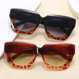 Retro Cat Eye Women Oversized Square Gradient Sunglasses