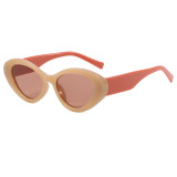 Retro Cheap Small Triangle Cat Eye Vacation Sunglasses