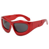Y2K Vintage Oval Cat Eye Sports Shades Sunglasses