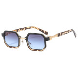 Retro Women Polygon Shades Sunglasses