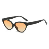 Retro Women Cat Eye Oval Outdoor Sunglasses