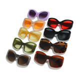 Y2K Oversized Oval Cat Eye Shades Sunglasses
