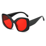Y2K Oversized Oval Cat Eye Shades Sunglasses