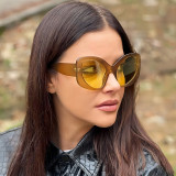 Y2K Oversized Oval Cat Eye Shades Sunglasses