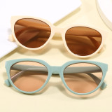 Retro Women Cat Eye Oval Outdoor Sunglasses